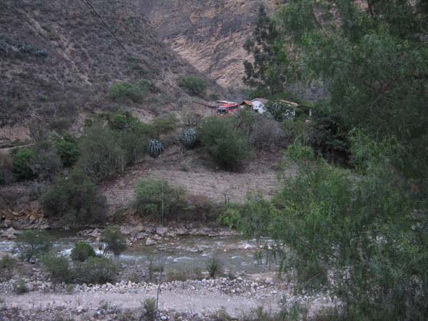 IMG_0646